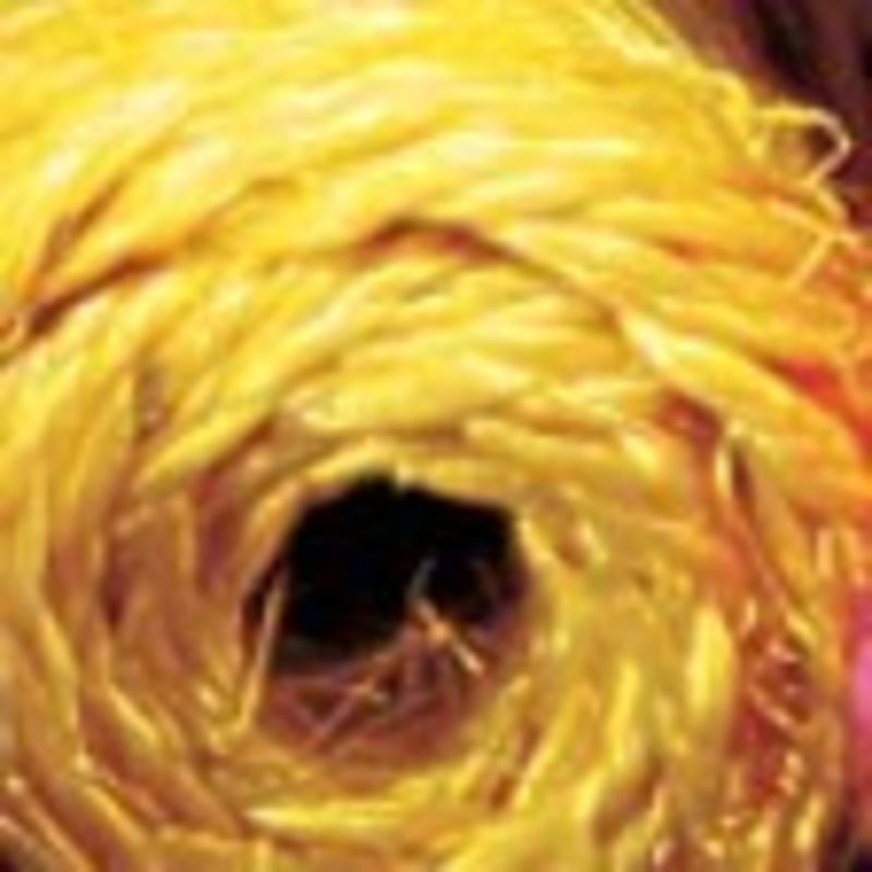 The Ribbon People Yellow Braided Snail Bundled Ribbon 1.5″ x 360 Yards