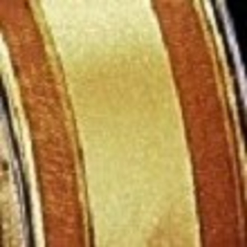 The Ribbon People Dijon Brown and Gold Striped Organdy Margaritte Craft Ribbon 1″ x 60 Yards