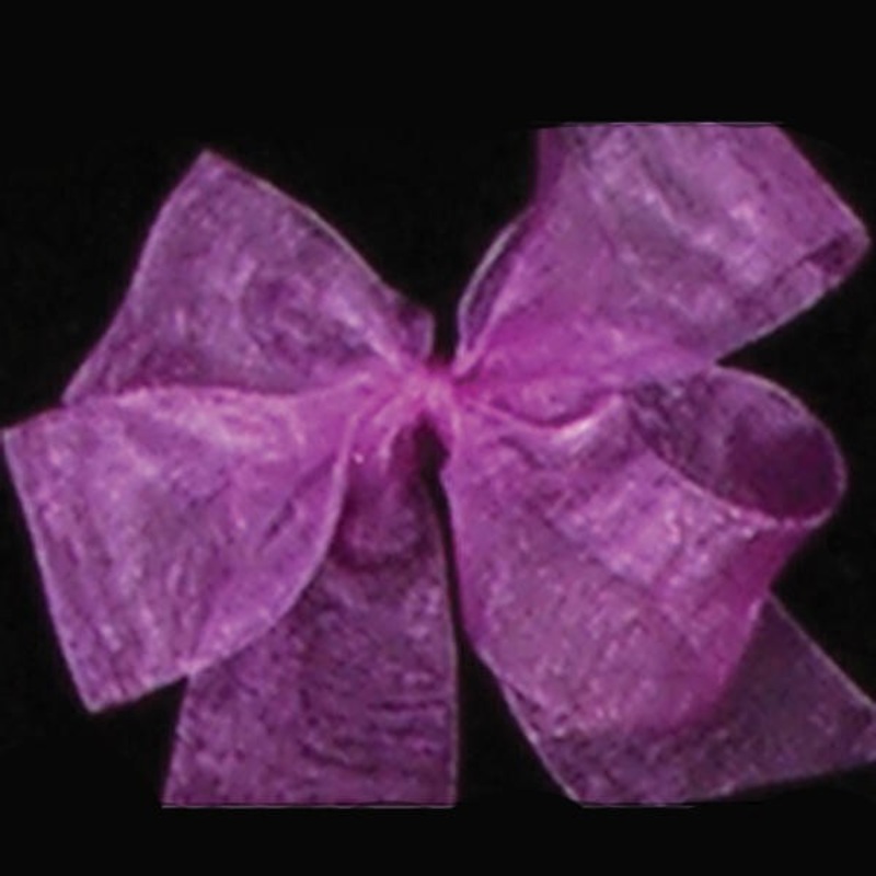 The Ribbon People Violet Nature Organdy Range Craft Ribbon 3″ x 55 Yards