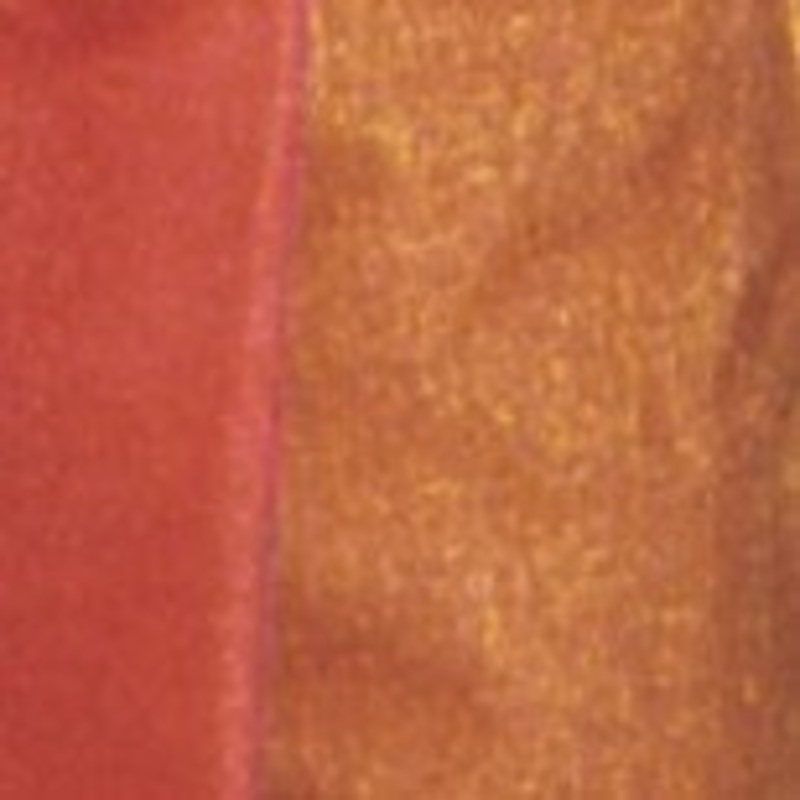 The Ribbon People Yellow and Pink Two Tone Tube Wired Craft Ribbon 6″ x 22 Yards
