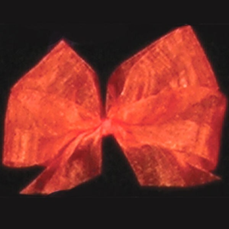 The Ribbon People Bittersweet Orange Solid Organdy Craft Ribbon 4″ x 55 Yards