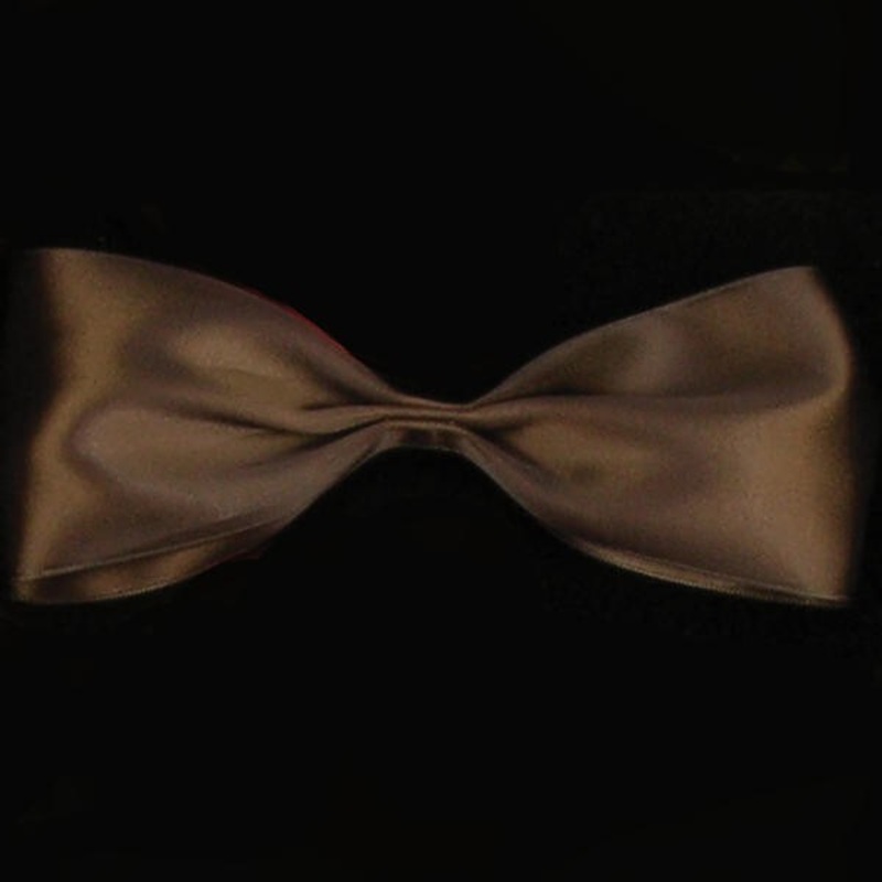 The Ribbon People Chocolate Brown Contemporary Double Face Craft Ribbon 0.25″ x 330 Yards
