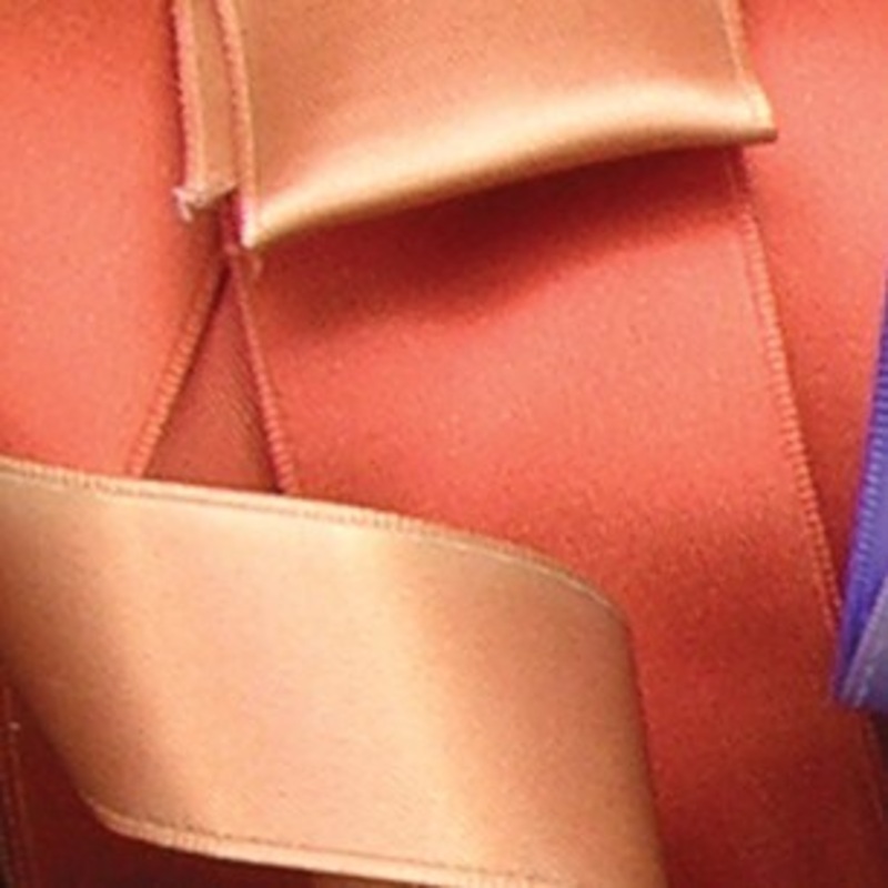 The Ribbon People Copper Orange Double Faced French Wired Craft Ribbon 1″ x 54 Yards