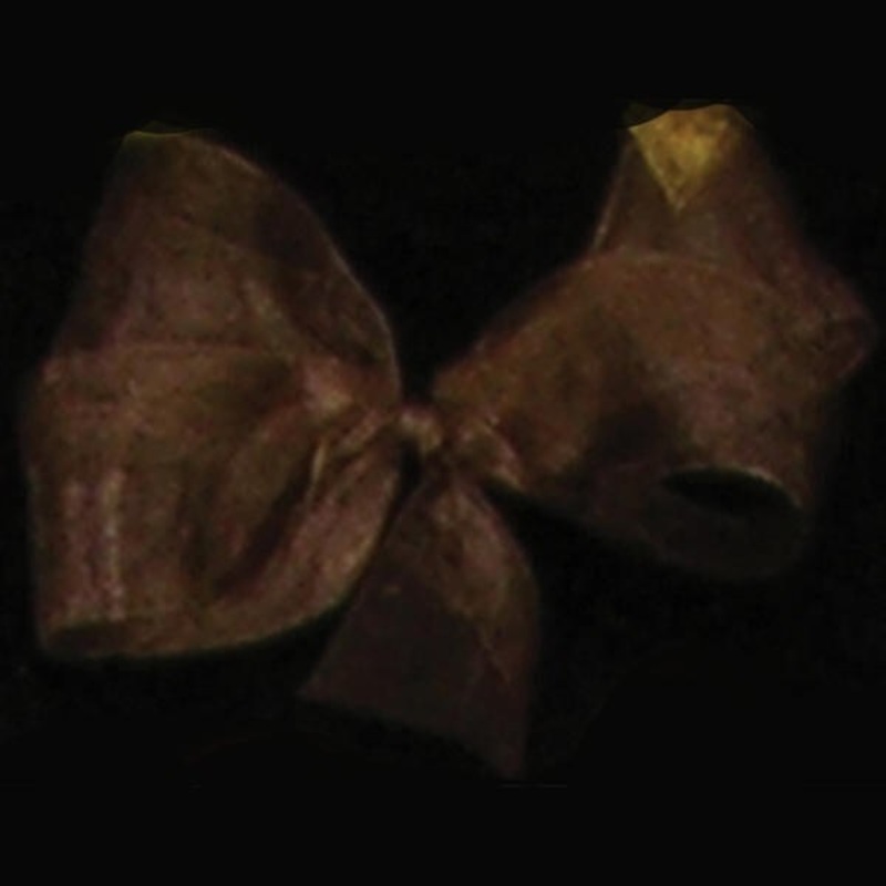 The Ribbon People Brown Espresso Organdy Traditional Ribbon Craft 1″ x 110 Yards