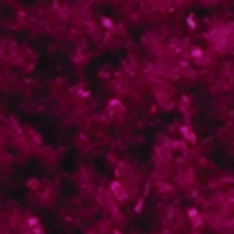 The Ribbon People Burgundy Red Chenille Wired Craft Ribbon 0.25″ x 110 Yards