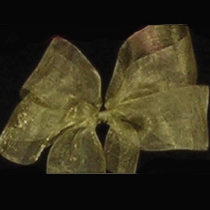 The Ribbon People Soft Pine Green Plain Organdy Craft Ribbon 0.03″ x 110 Yards