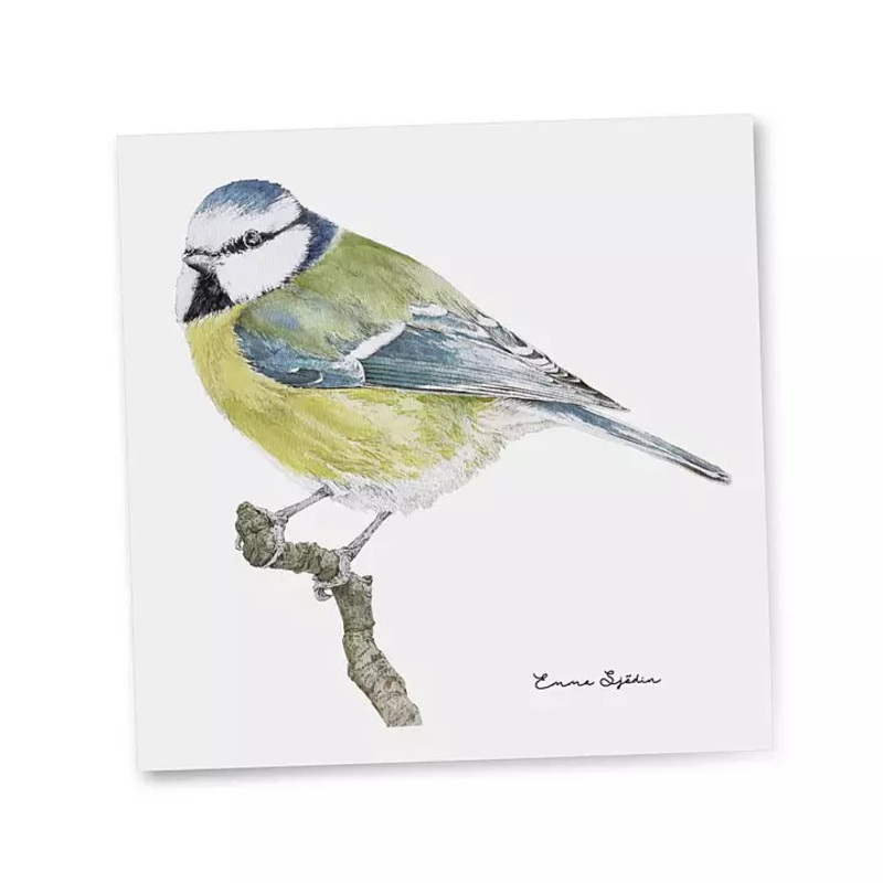 Emma Sjodin: Gift Card, Blue Tit