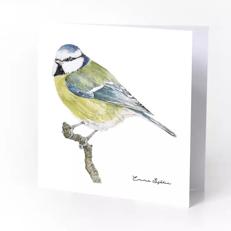 Emma Sjodin: Greeting Card, Blue Tit