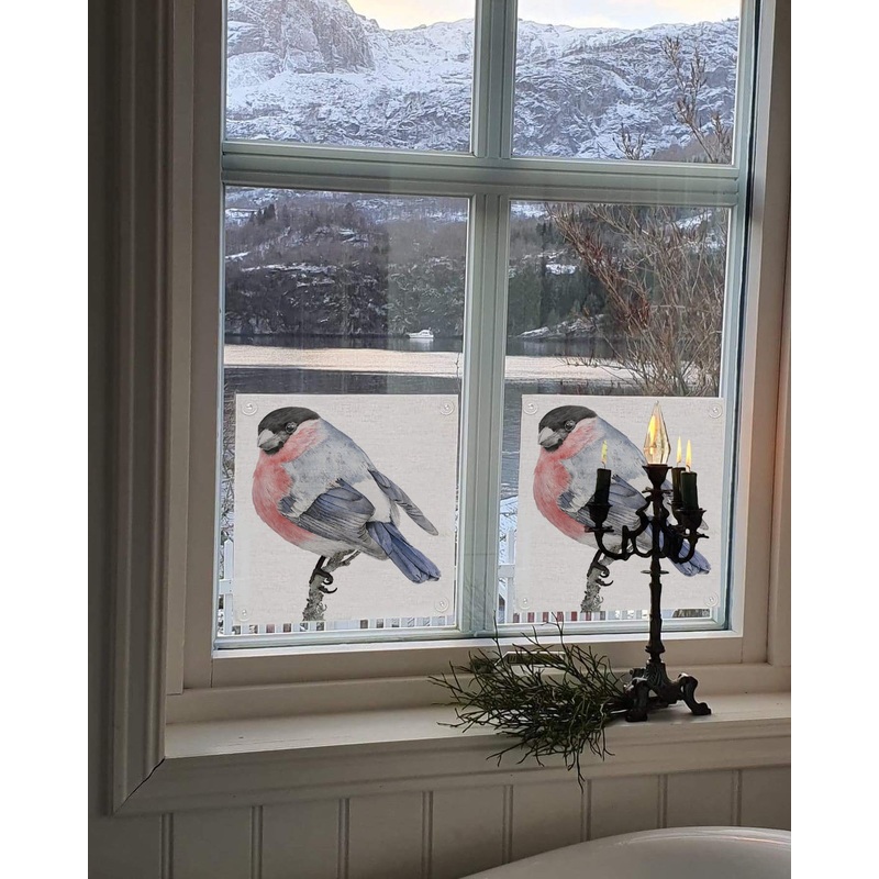 Emma Sjodin: Windowshade (31 x 31cm), Bull Finch