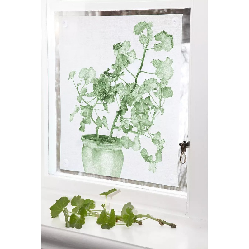 Emma Sjodin: Windowshade(39 x 43cm) Green Geranium