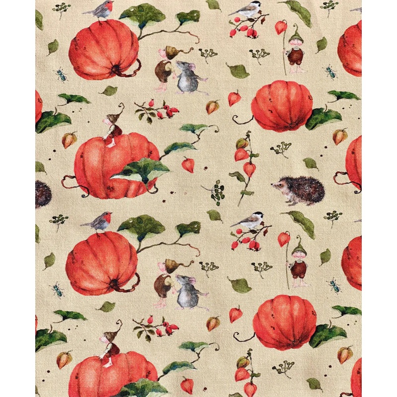 Dollbelge Fabric Magic Pumpkin Gnomes