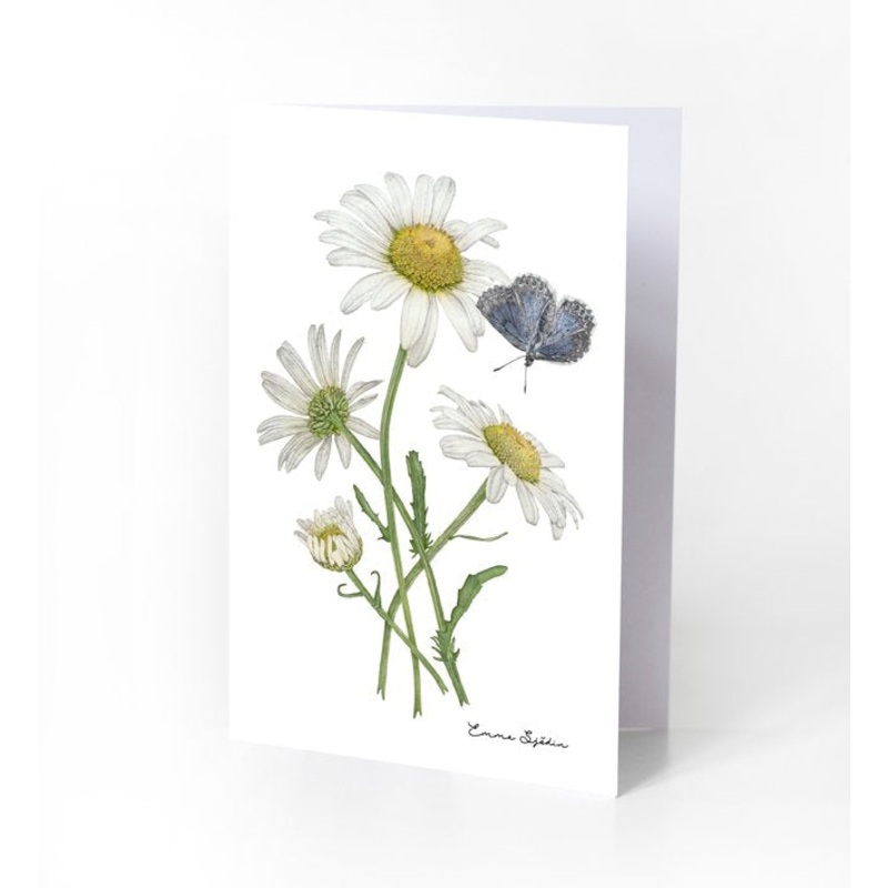 Emma Sjodin: Greeting Card, Daisies