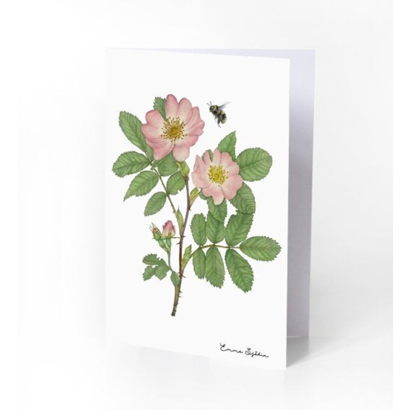 Emma Sjodin: Greeting Card, Wild Rose