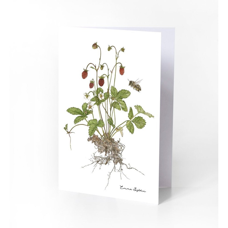 Emma Sjodin: Greeting Card, Wild Strawberries
