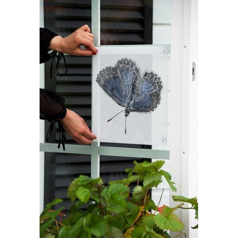 Emma Sjodin: Windowshade (31 x 31cm), Blue Butterfly