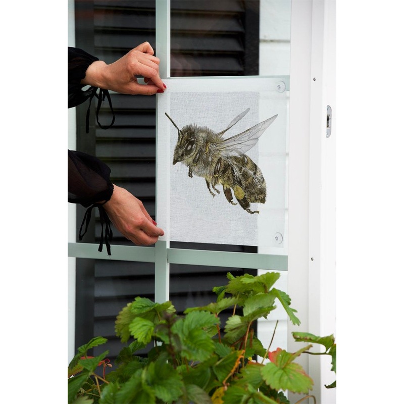 Emma Sjodin: Windowshade (31 x 31cm) Honey Bee