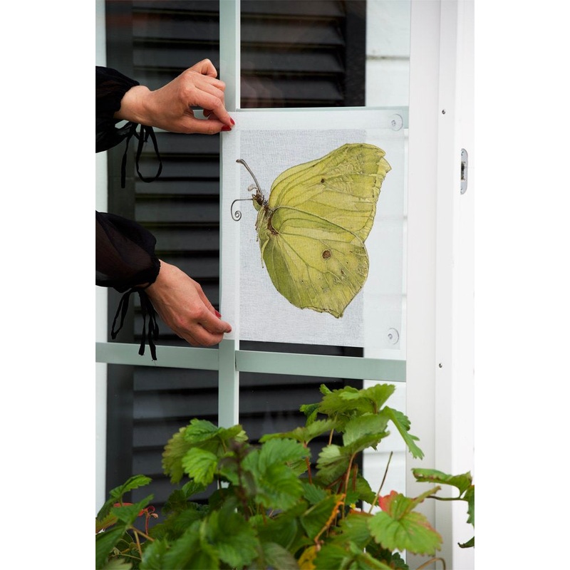 Emma Sjodin: Windowshade (31 x 31cm), Lemon Butterfly
