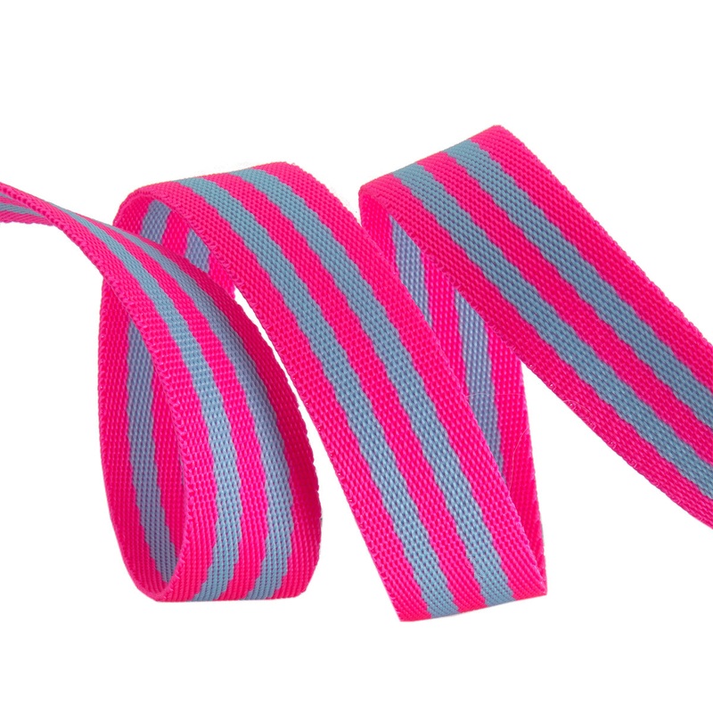 Aqua/Hot Pink – 1″ wide Nylon Webbing – by Tula Pink – 1 Yard