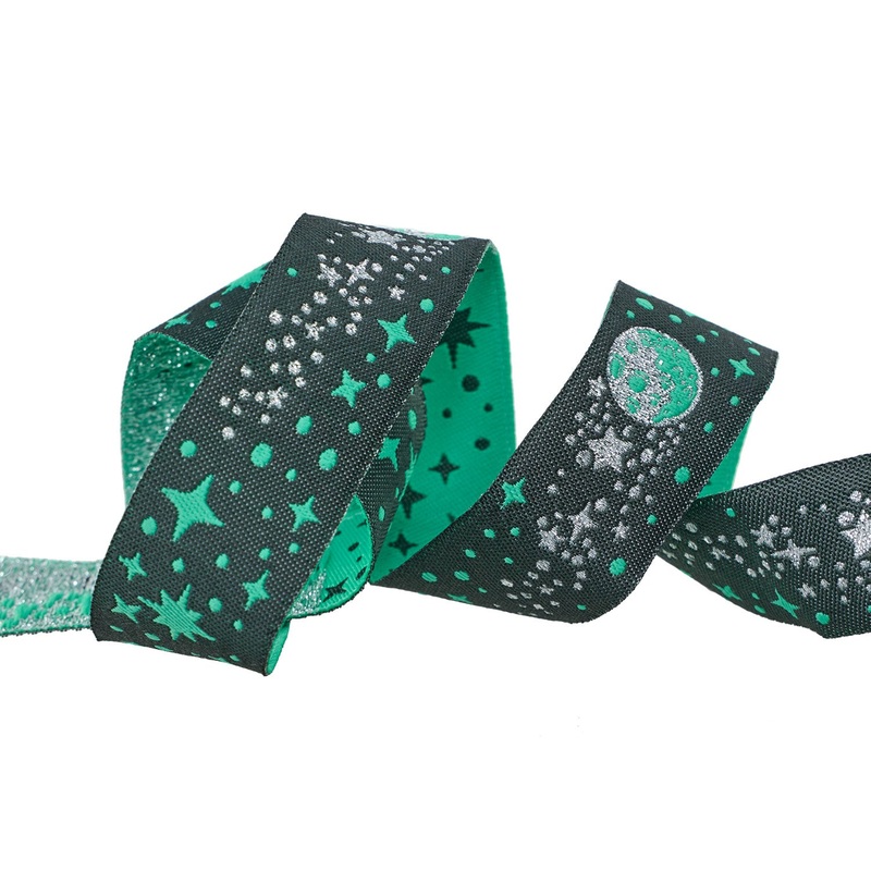 Meteor Shower in Storm – 7/8″ width – Tula Pink Roar! – One Yard