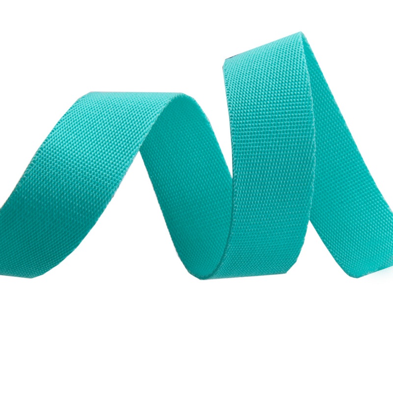 Spirit/Teal – 1″ Nylon Webbing – by Tula Pink – One Yard