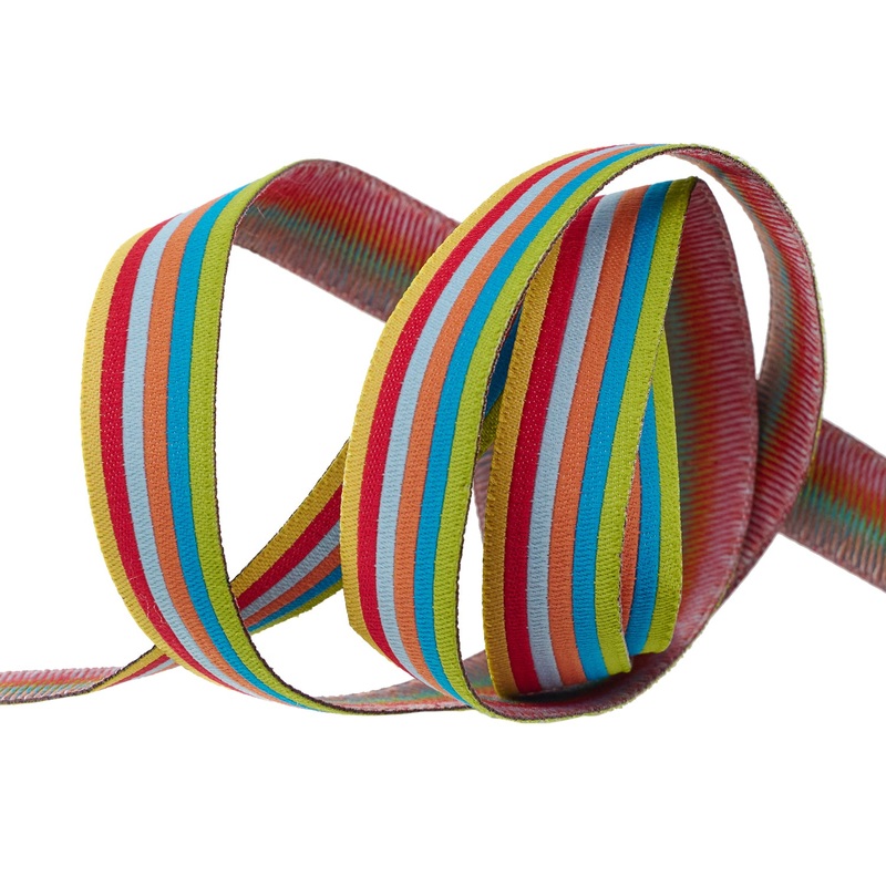Rainbow Power – 5/8″ width – Back to School by Stacy Iest Hsu – One Yard
