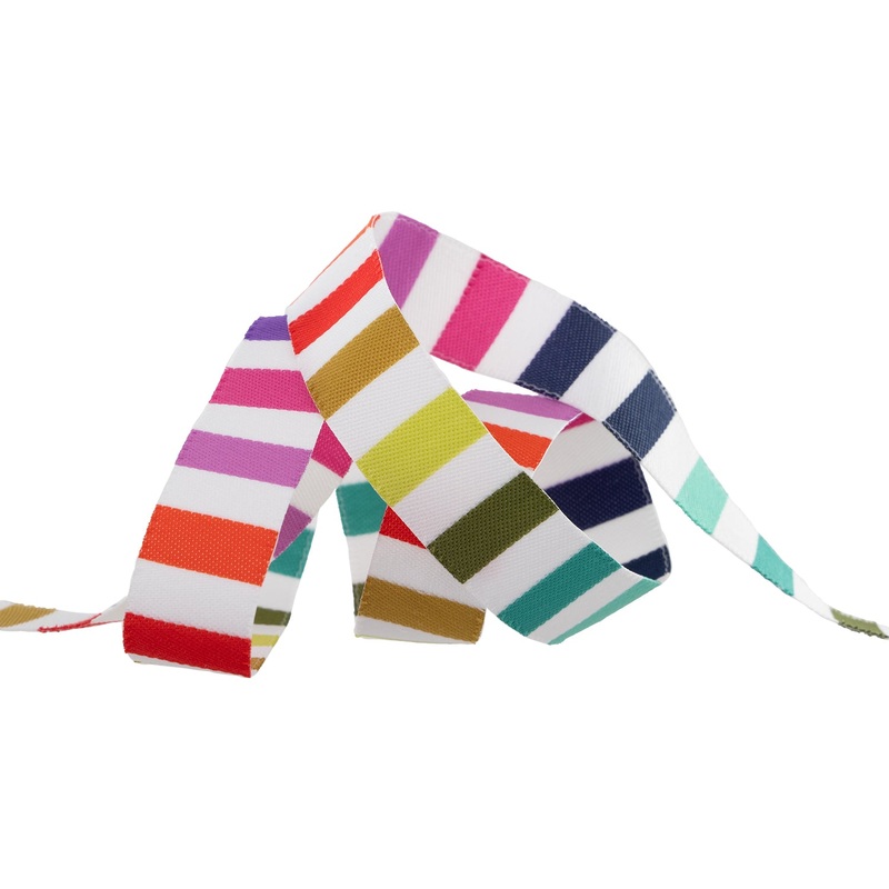 Rainbow Stripe – 5/8″ width – Tula Pink Tabby Road – One Yard