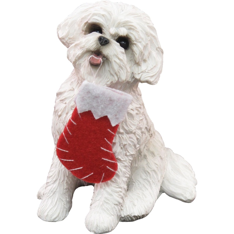 Sandicast Sitting Bichon Frise w/ Stocking Christmas Dog Ornament