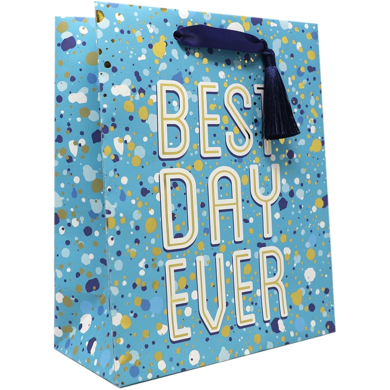 Medium Birthday Gift Bags, Best Day Ever with Foil Accents and Tassel