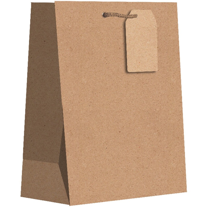 Heavyweight Solid Color Medium Gift Bags, Kraft