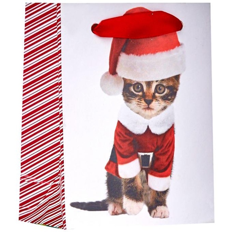 Tiny Gloss Christmas Gift Bags, Kitty Cat Kittens