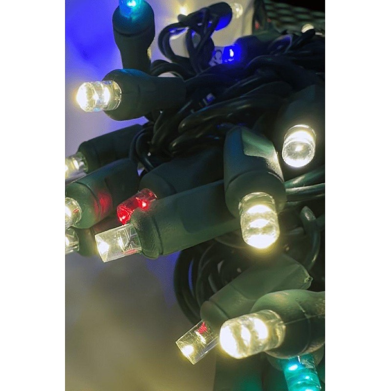 ColorSplash Treasure, 5mm Warm White LED Lights, 50 Bulbs