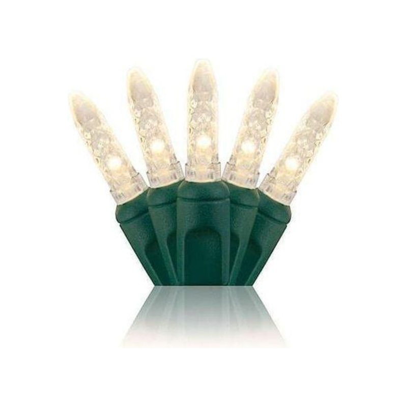 M5 Warm White LED Mini Lights, 50 Bulbs