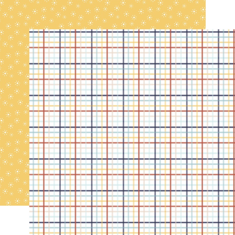 Echo Park – Baby On Board It’s a Boy – 12×12 Single Sheet – Sweet Boy Plaid